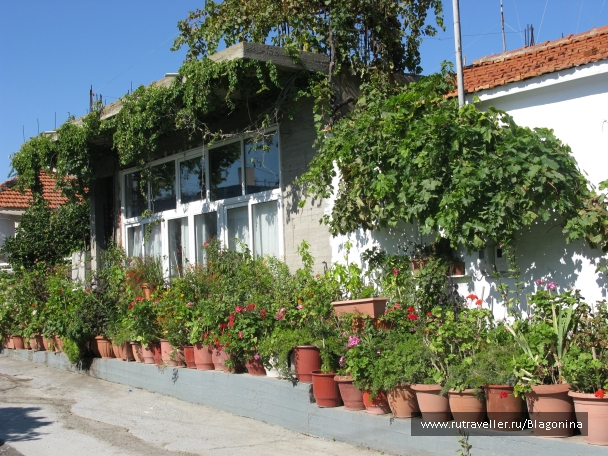 photo 801783