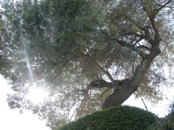 photo 801785