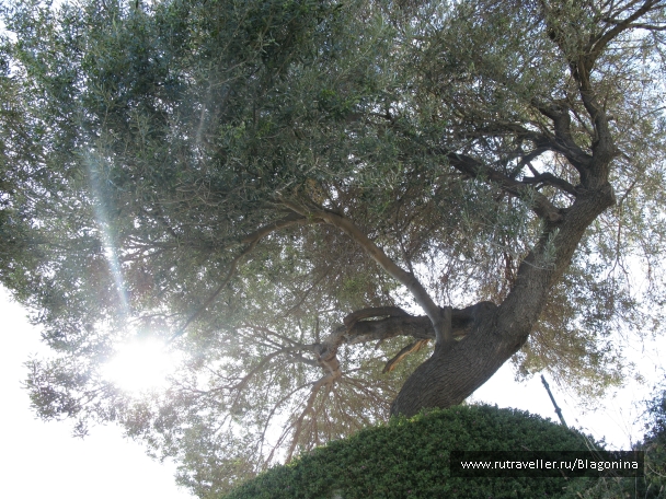 photo 801785