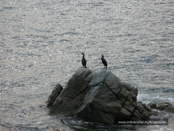 photo 995001