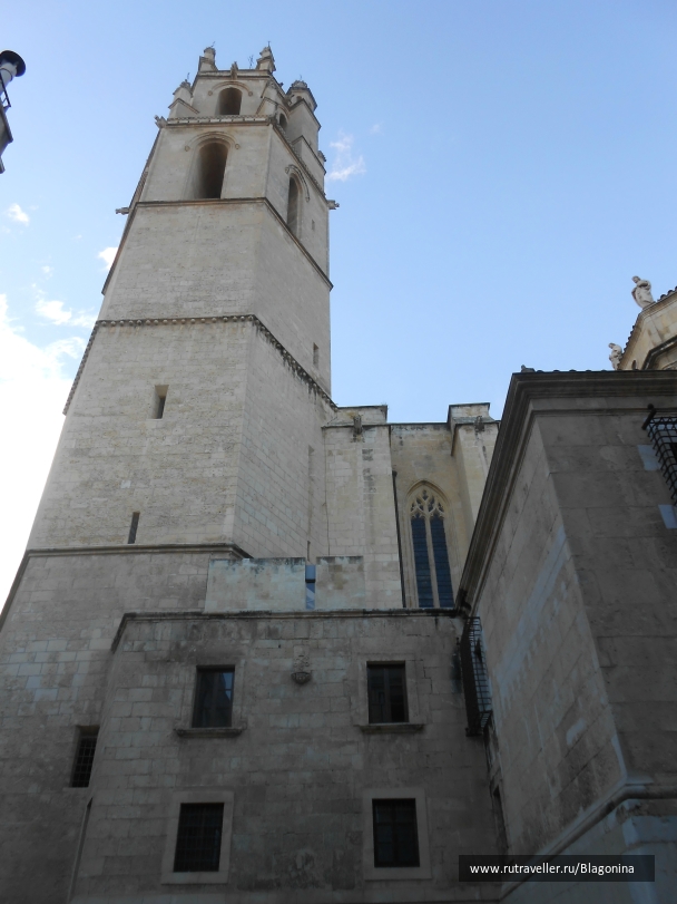 photo 875339