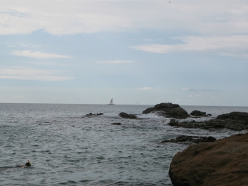 photo 934296