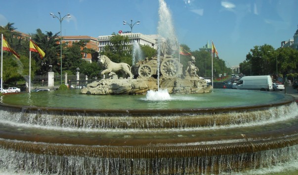 DSCN4995