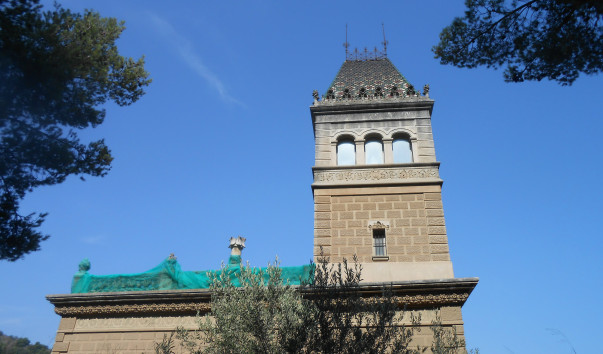 DSCN5663
