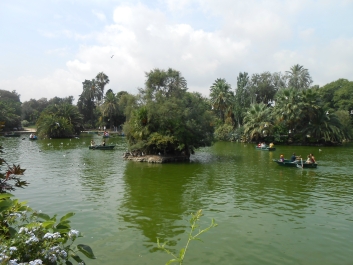 photo 895424
