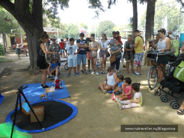 photo 895429