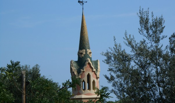 DSCN5671