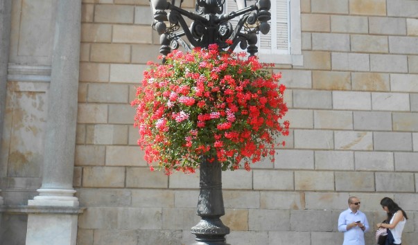DSCN4278
