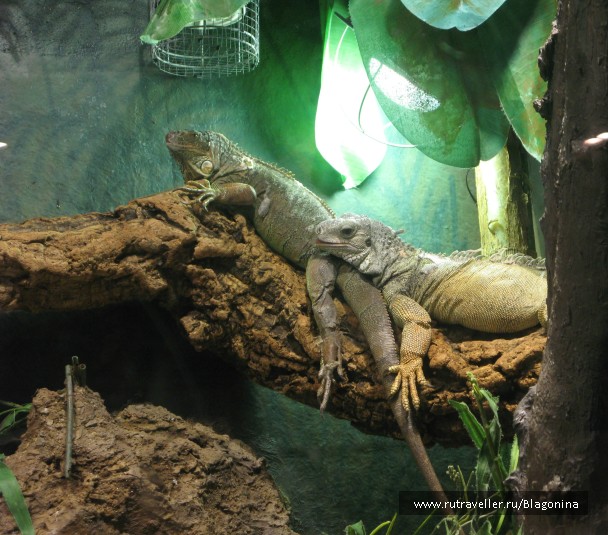 photo 955204