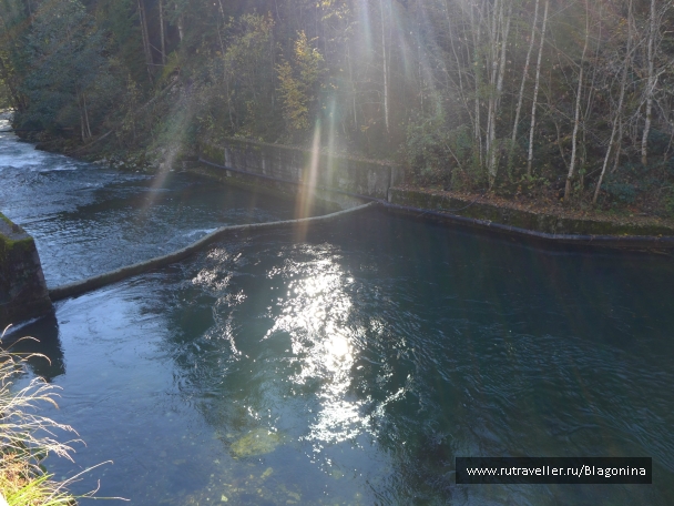 photo 904243