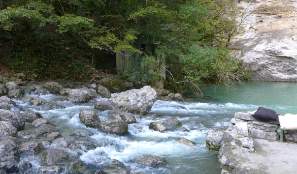 P1000878