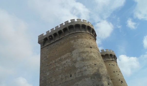 DSCN6079