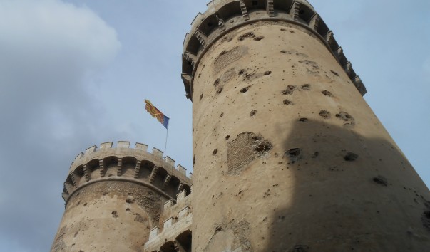 DSCN6078