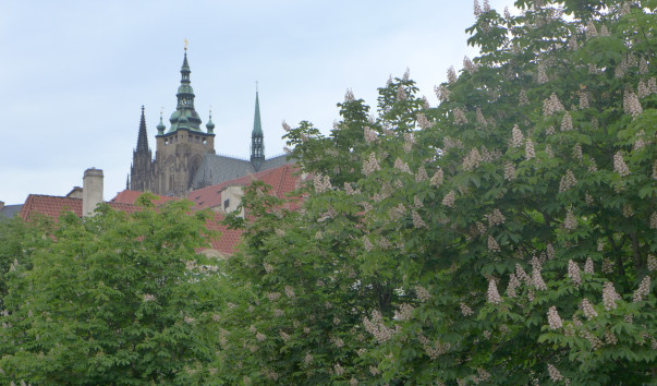 P1040988