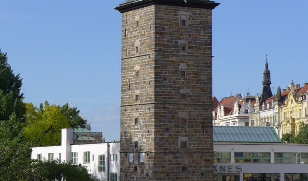 P1040229