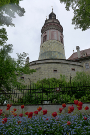photo 1042788