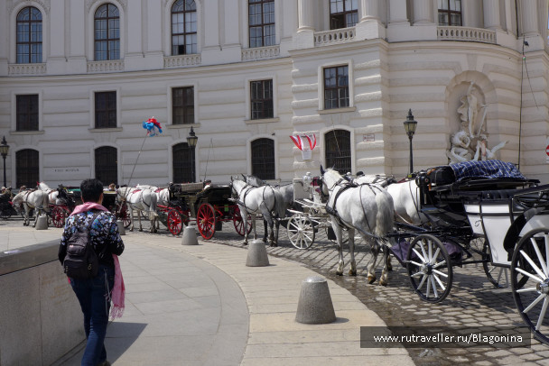 photo 1043562