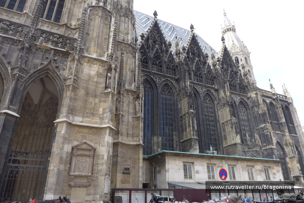 photo 1069440