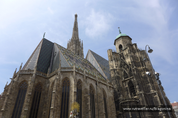 photo 1069442