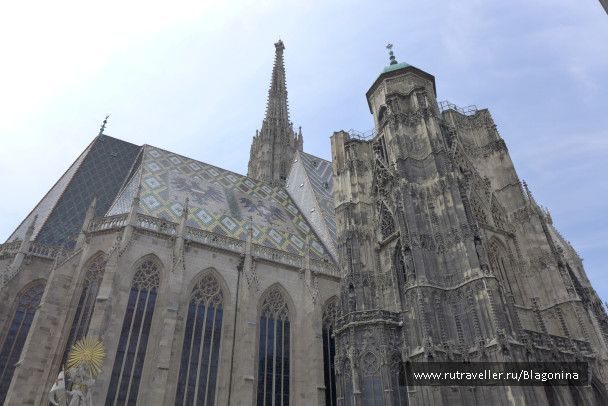 photo 1069444