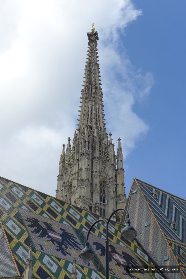 photo 1773514