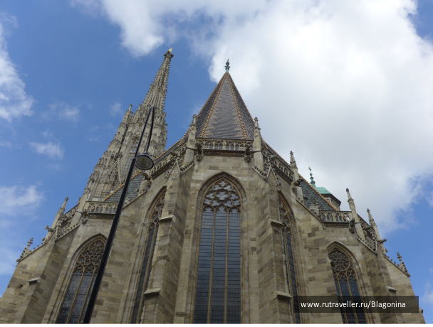 photo 1773516