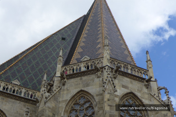 photo 1773517