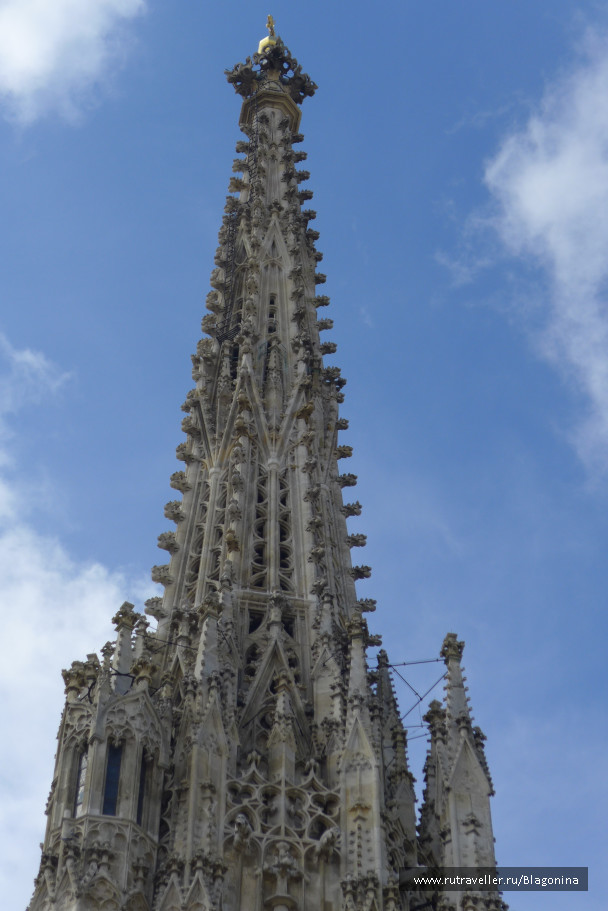 photo 1773520