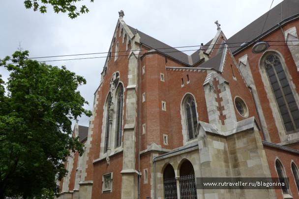 photo 1790288