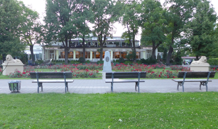 photo 1081814