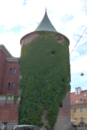 photo 1084242