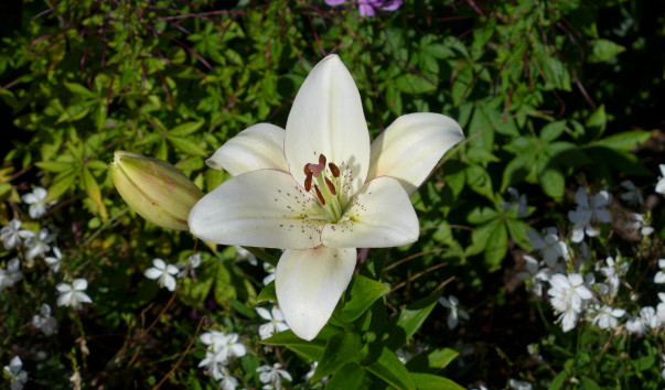 P1080069