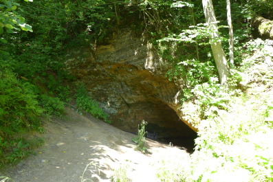 photo 1165116