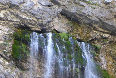 photo 1117614