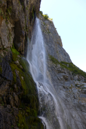 photo 1117621