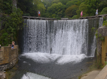 photo 1122316