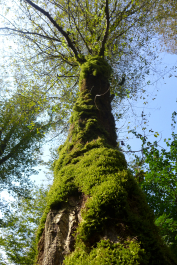 photo 1122346