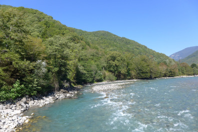 photo 1125744