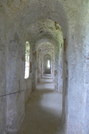 photo 1131444