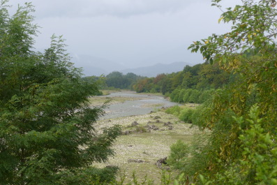 photo 1131487