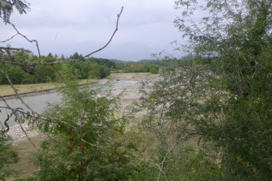 photo 1131488