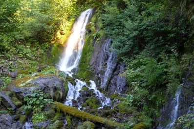 photo 1134063