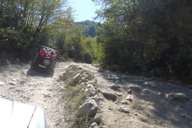 photo 1139767
