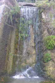 photo 1187711
