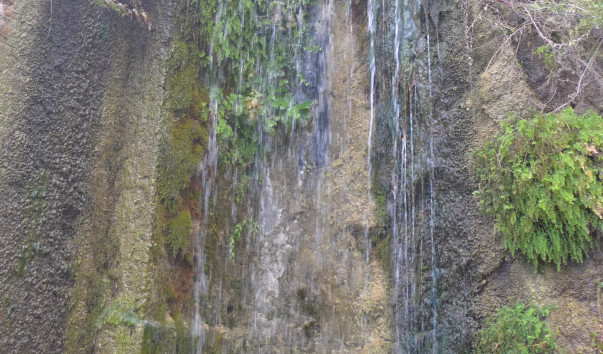 P1090251
