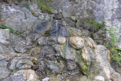 photo 1187714