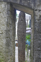 photo 1187715