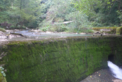 photo 1188035