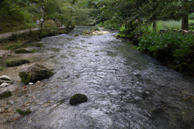 photo 1188036