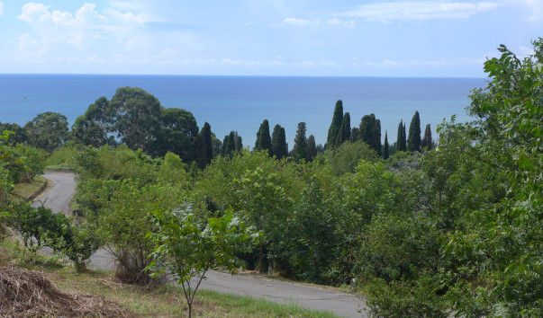 P1090359
